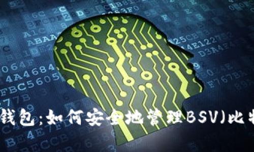 全面解析TP钱包：如何安全地管理BSV（比特币现金SV）